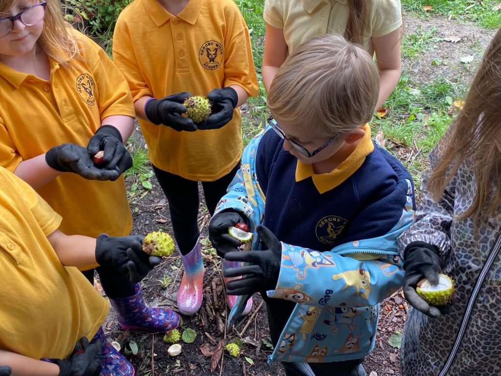 Heron’s Moor pupils become foresters for the day