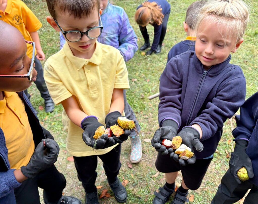 Pupils embark on wild Forest School adventure
