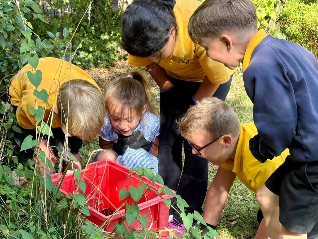 Pupils enjoy autumn forest school adventure