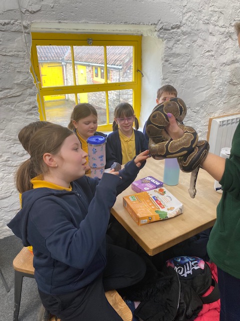 Herons’ Moor pupils explore the wonders at Noah's Ark Zoo Farm