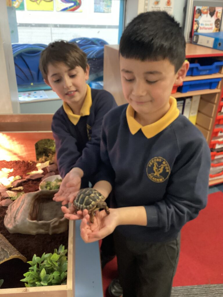 Herons’ Moor tortoise George returns